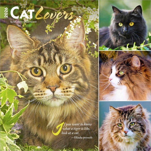 2026 Calendar Cat Lovers 16-Month Square Wall, BrownTrout BT02787
