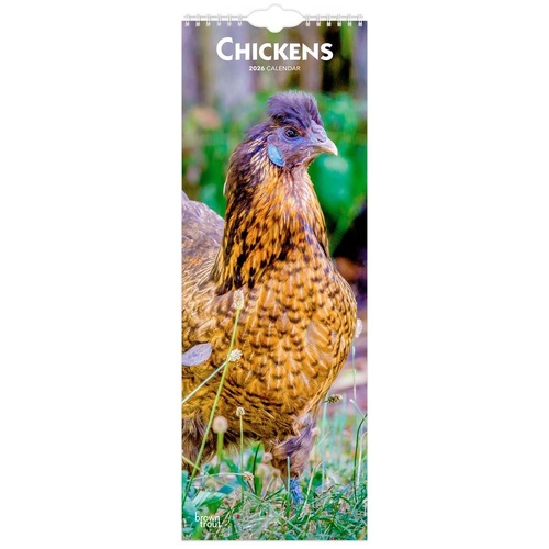 2026 Calendar Chickens Slim Wall, BrownTrout BT02893