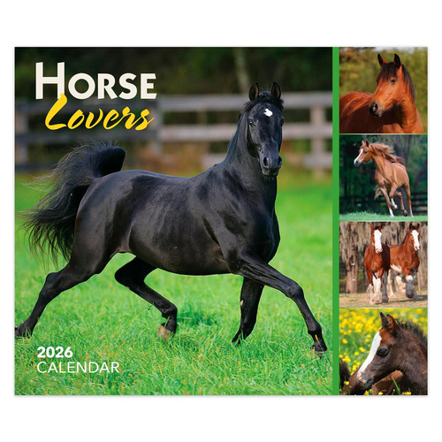 2026 Calendar Horse Lovers Day-to-Day Boxed, BrownTrout BT03678