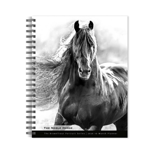 2026 16-Month Planner The Noble Horse, The Browntrout Portrait Series Monthly/Weekly, BrownTrout BT03746