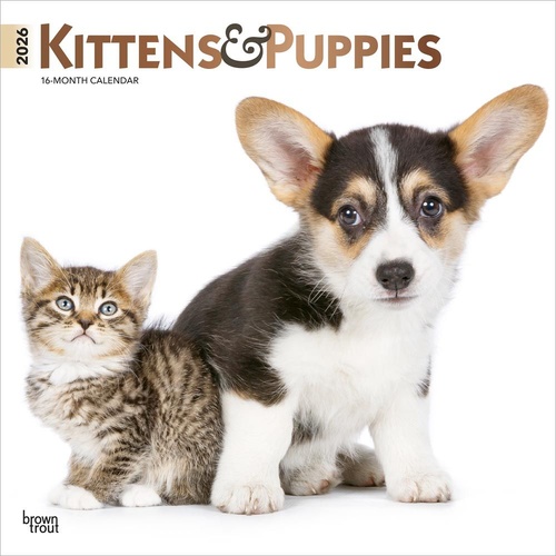 2026 Calendar Kittens & Puppies 16-Month Square Wall, BrownTrout BT04101