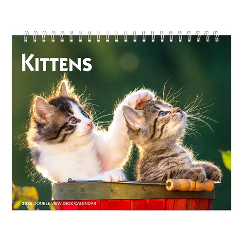 2026 Calendar Kittens Double-View Desk Easel, BrownTrout BT04118