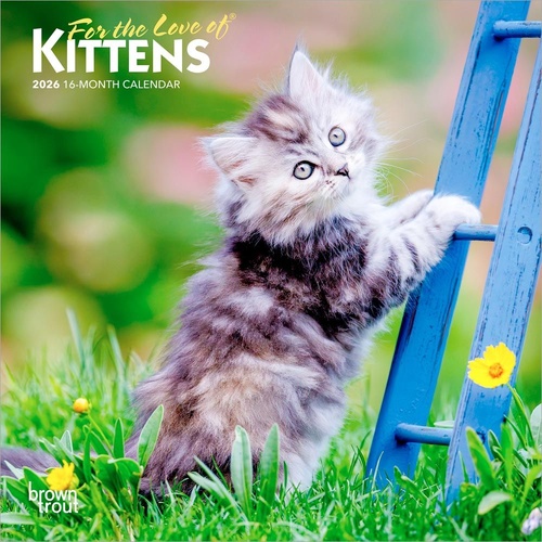 2026 Calendar For the Love of Kittens 16-Month Mini Wall, BrownTrout BT04132