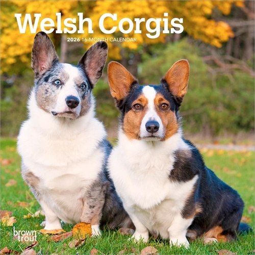 2026 Calendar Welsh Corgis 16-Month Mini Wall, BrownTrout BT06228