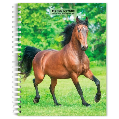 2027 16-Month Planner Horse Lovers Engagement Calendar Desk Monthly/Weekly, Browntrout BT09458