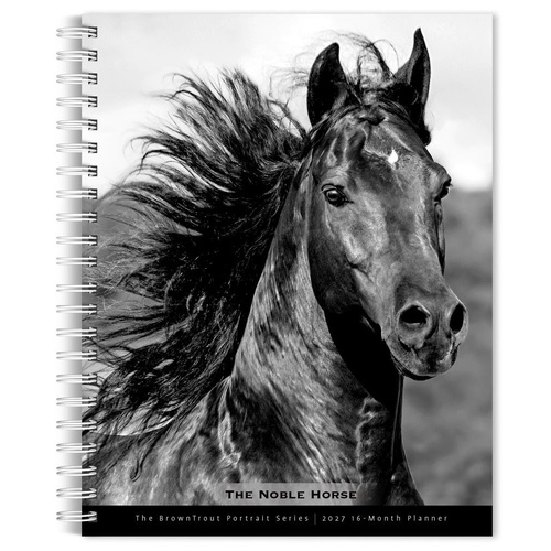 2027 16-Month Planner The BrownTrout Portrait Series: The Noble Horse Engagement Calendar Desk Monthly/Weekly, Browntrout BT09465