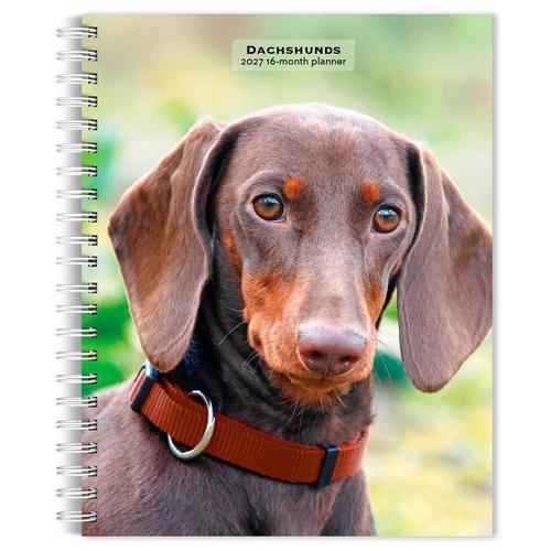 2027 16-Month Planner Dachshunds Engagement Calendar Desk Monthly/Weekly, Browntrout BT09489