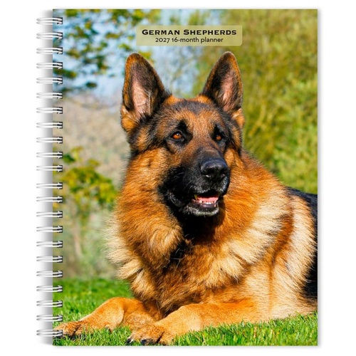 2027 16-Month Planner German Shepherds Engagement Calendar Desk Monthly/Weekly, Browntrout BT09496