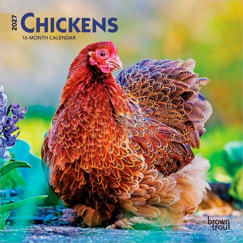 2027 16-Month Calendar Chickens Mini Wall, Browntrout BT09786
