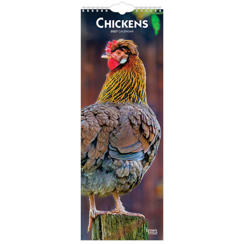 2027 Calendar Chickens Slim Wall, Browntrout BT10287