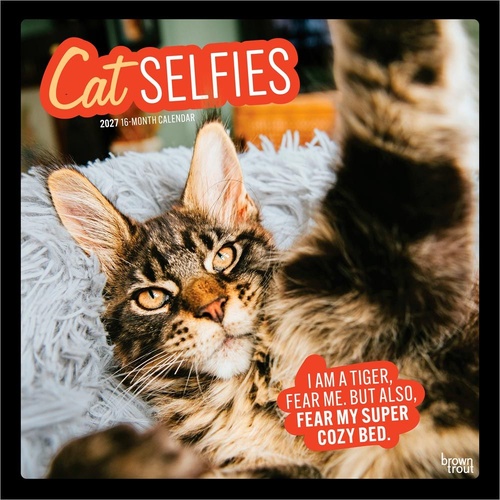 2027 16-Month Calendar Cat Selfies Square Wall, Browntrout BT11383