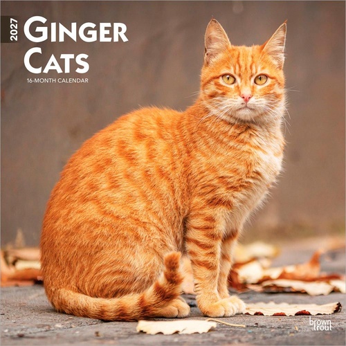 2027 16-Month Calendar Ginger Cats Square Wall, Browntrout BT11789