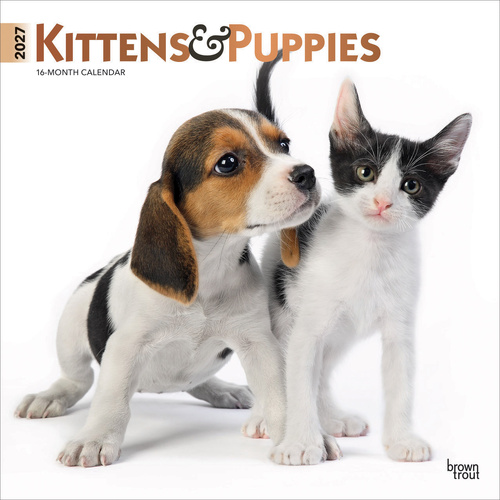 2027 16-Month Calendar Kittens & Puppies Square Wall, Browntrout BT11796