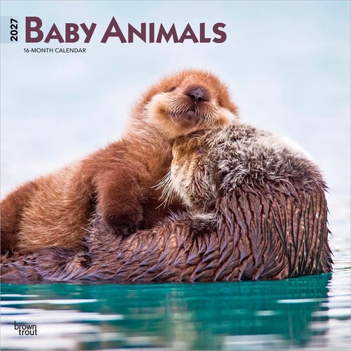2027 16-Month Calendar Baby Animals Square Wall, Browntrout BT11840