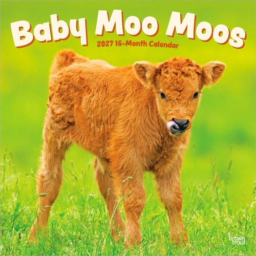 2027 16-Month Calendar Baby Moo Moos Square Wall, Browntrout BT11864