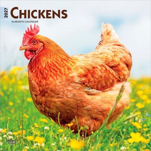 2027 16-Month Calendar Chickens Square Wall, Browntrout BT11871