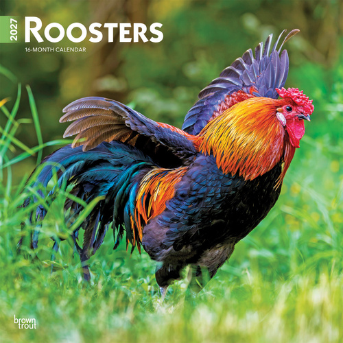 2027 16-Month Calendar Roosters Square Wall, Browntrout BT11956