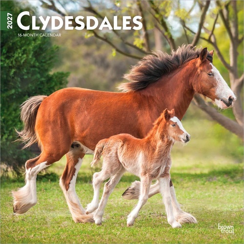 2027 16-Month Calendar Clydesdales Square Wall, Browntrout BT11963