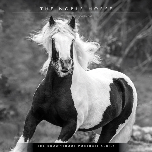 2027 16-Month Calendar The BrownTrout Portrait Series: The Noble Horse Square Wall, Browntrout BT11994