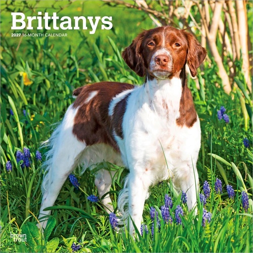 2027 16-Month Calendar Brittanys Square Wall, Browntrout BT12311