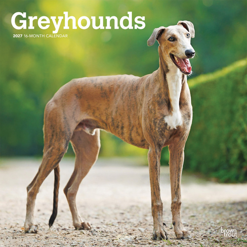 2027 16-Month Calendar Greyhounds Square Wall, Browntrout BT12502