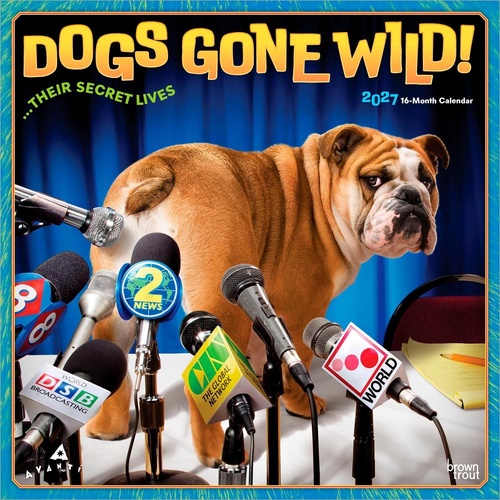 2027 16-Month Calendar Avanti Dogs Gone Wild Square Wall, Browntrout BT12960