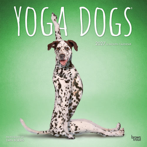 2027 16-Month Calendar Yoga Dogs Square Wall, Browntrout BT13523