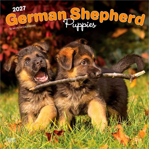 2027 16-Month Calendar German Shepherd Puppies Square Wall, Browntrout BT14193