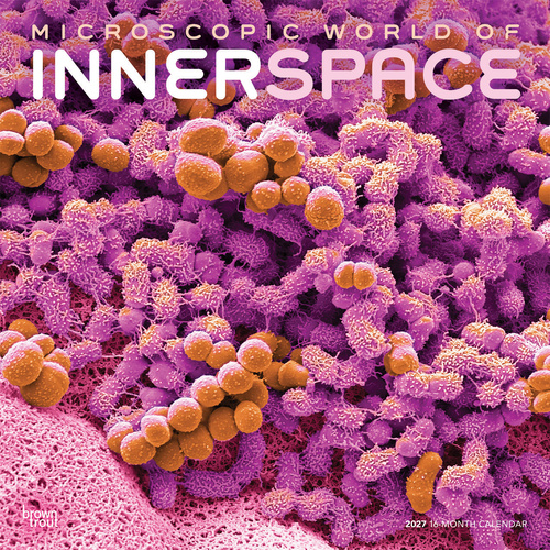 2027 16-Month Calendar Microscopic World of Innerspace Square Wall, Browntrout BT14261