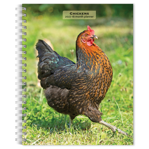 2027 16-Month Planner Chickens Engagement Calendar Desk Monthly/Weekly, Browntrout BT14919