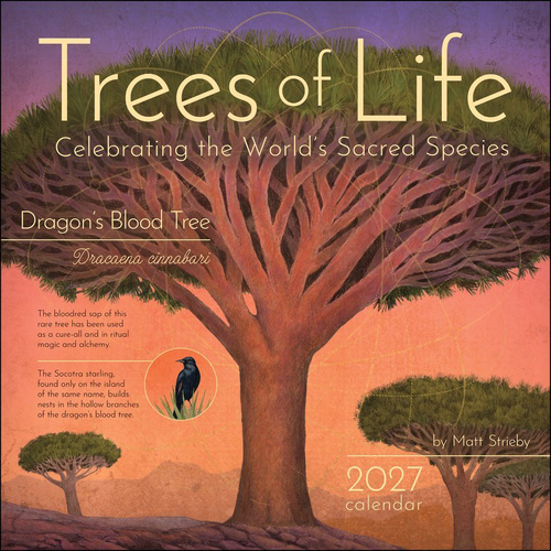 2027 Calendar Trees of Life Square Wall, Amber Lotus AM07036