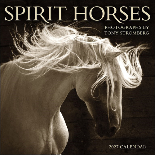 2027 Calendar Spirit Horses Square Wall, Amber Lotus AM10470